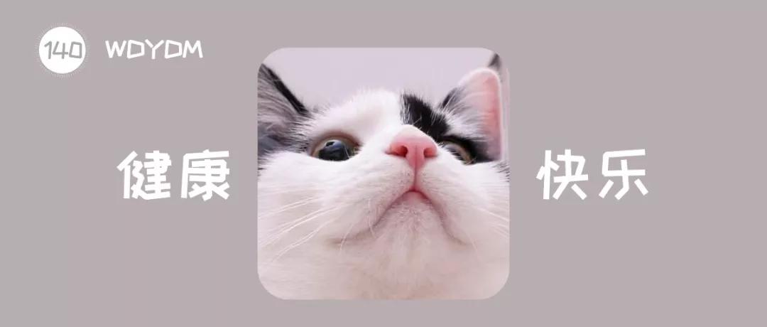 涨知识猫咪过胖会引发哪些疾病,涨知识的猫