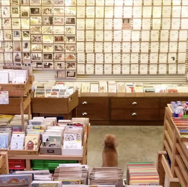 最好逛的文具店,值得去探店的店铺推荐