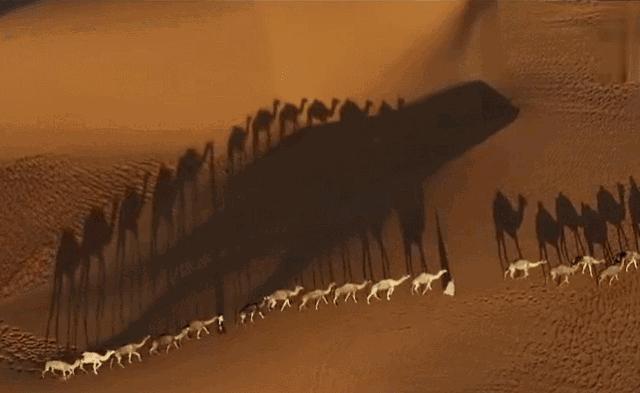 甘肃属于哪个省份的城市,甘肃是哪个省份的城市