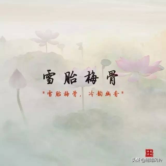 古诗词里的绝美成语,古诗词中绝美成语