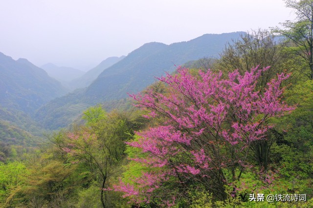 马庆武｜咏秋.七绝四首