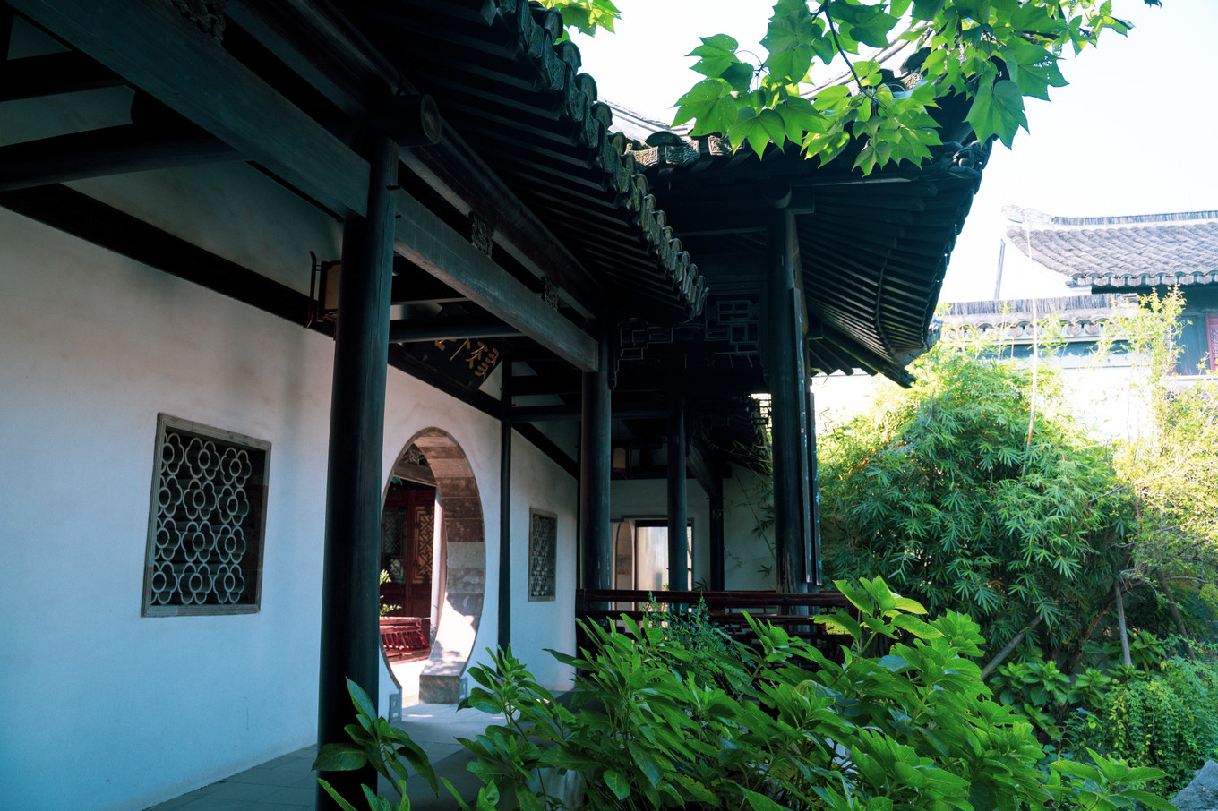 不仅仅是皮革，海清潮静——海宁