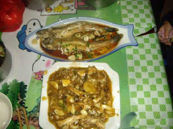 它一生只活一年，我们叫它“扔巴鱼”