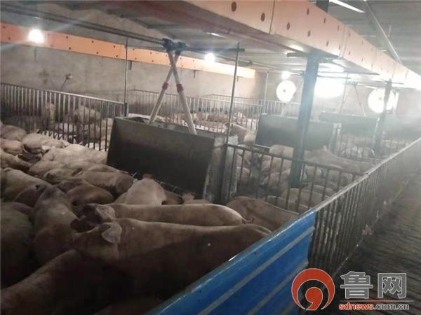 一户一策一表精准脱贫方案,一户一策助力增收