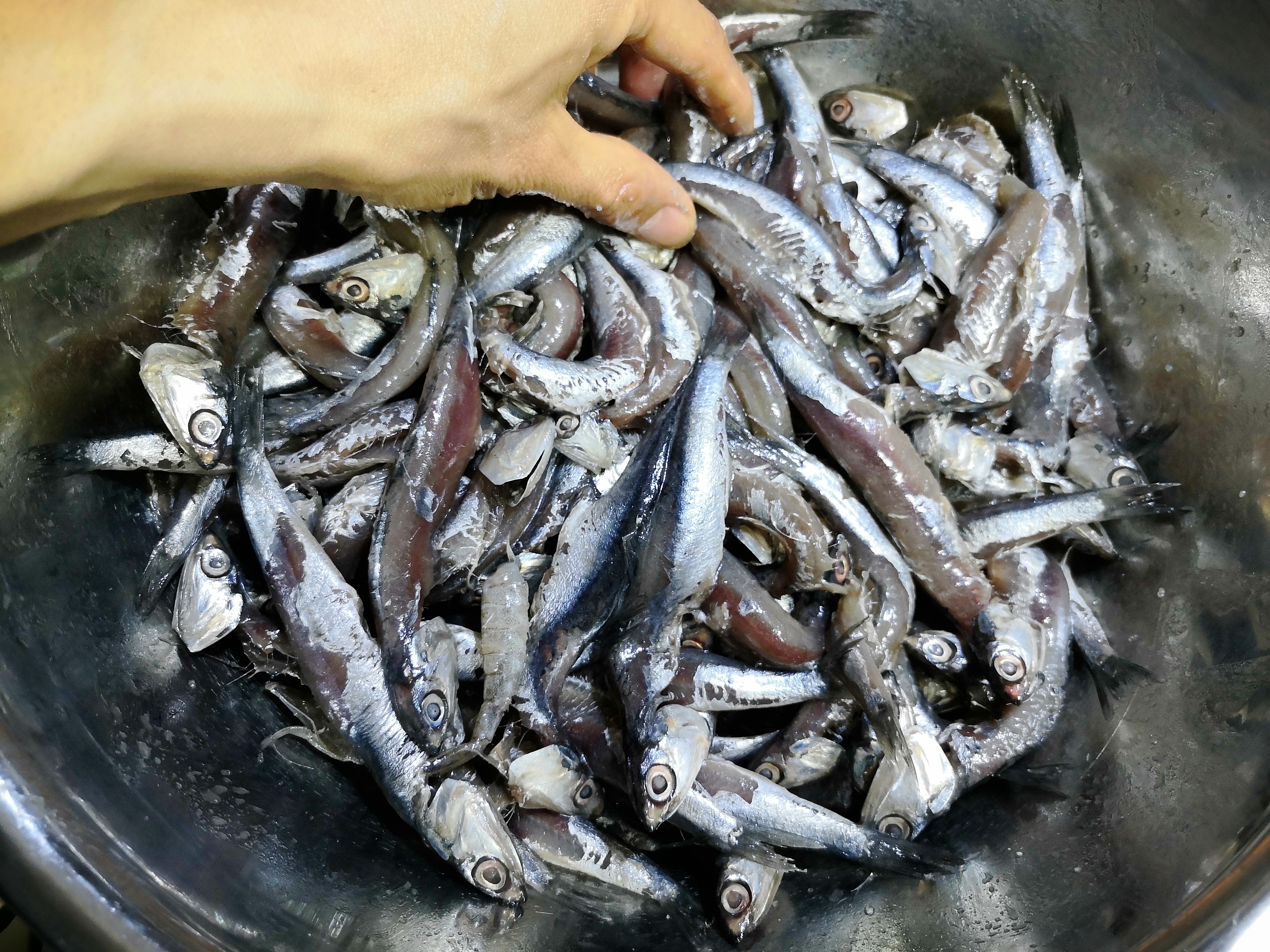 晒鱼干怎么晒好吃又简单,怎么晒鱼干才好吃