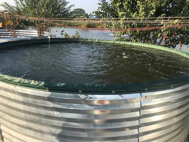 水产活水养殖,水产养殖水重复利用方法