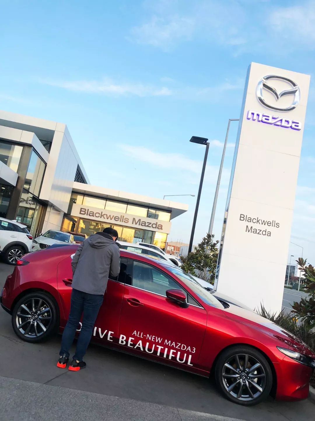 新西兰最适合开什么车,哪个国家人均拥有的汽车最多