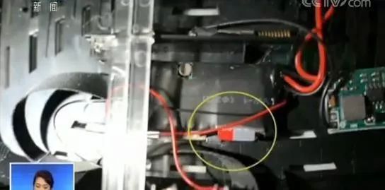 小猪民宿和木鸟民宿,小猪民宿和木鸟