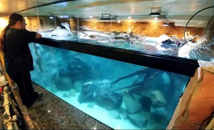 自己做大型水陆缸,在家自己打造一个沙漠缸