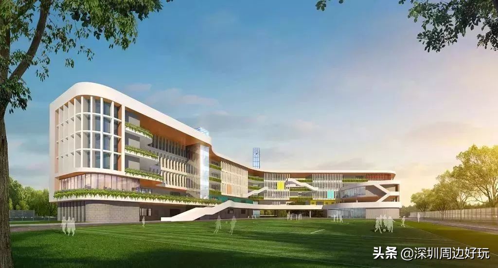 住在深圳各区的人,住在深圳市的人