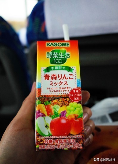 关西白滨自由行攻略,日本自由行攻略大阪温泉