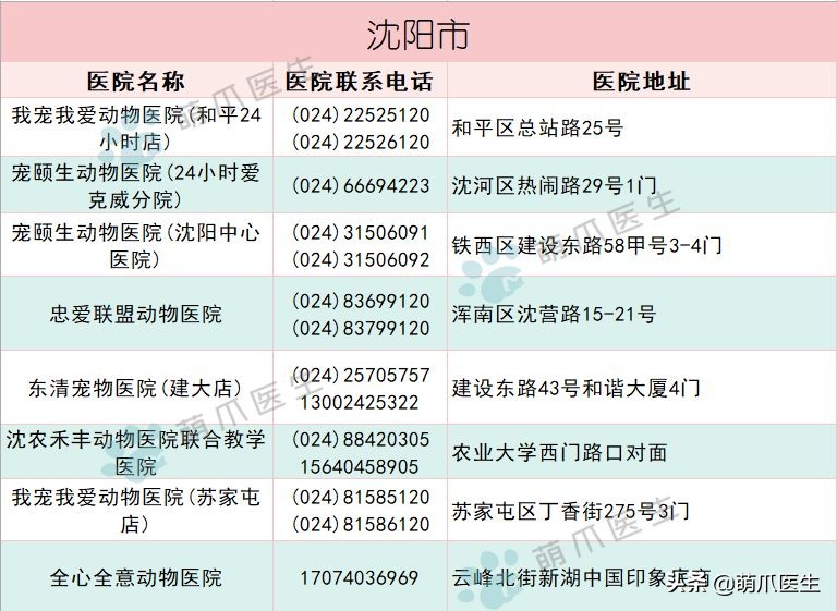 宠物医院必看,不坑的宠物医院推荐