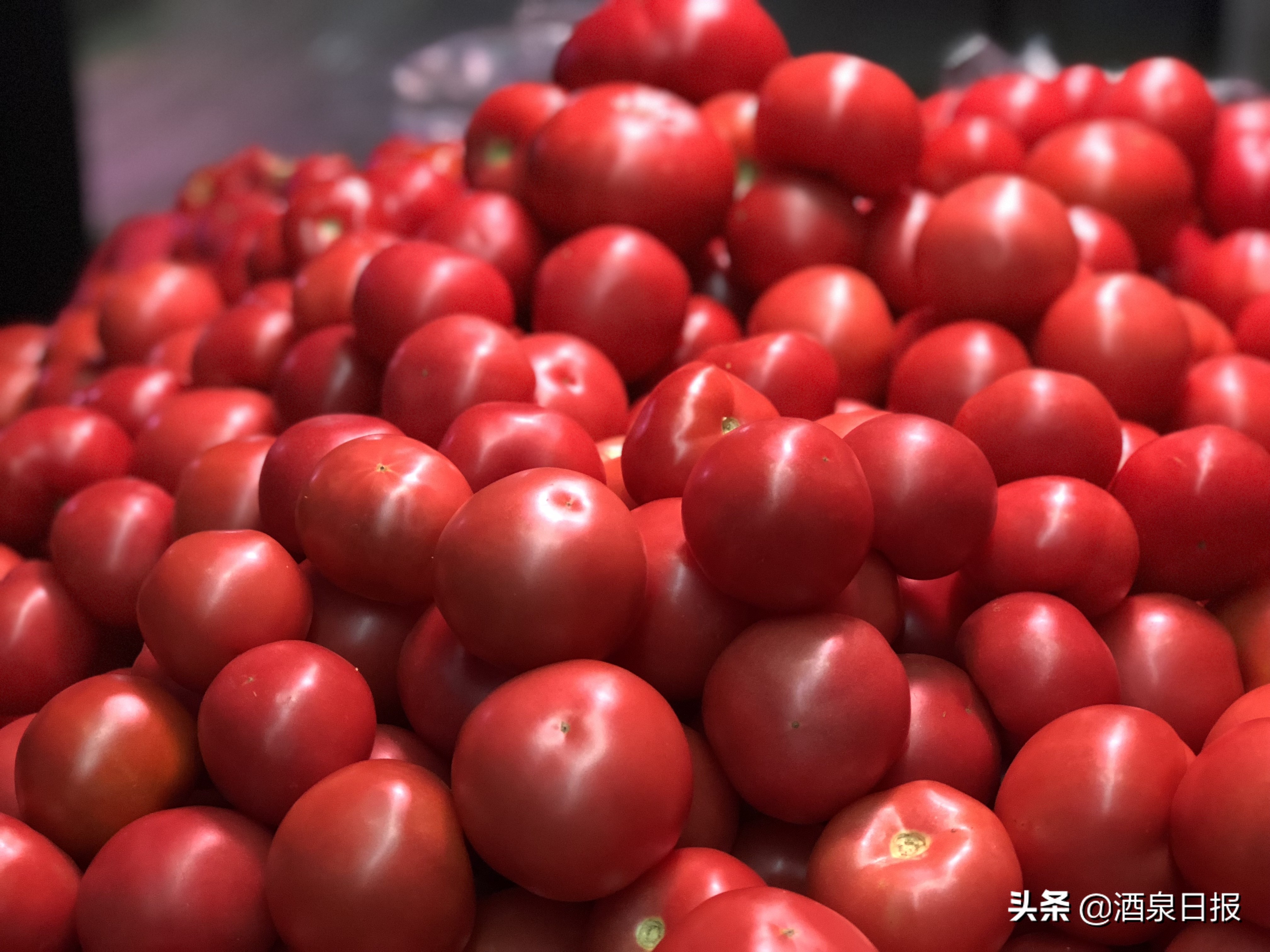 酒泉阳光市场夜市,酒泉夜市最新消息