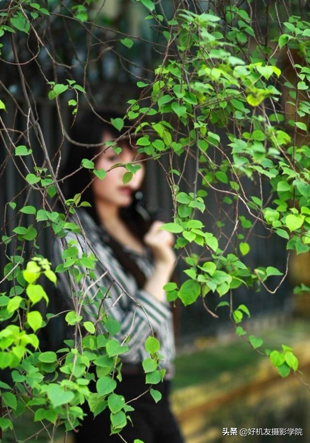 尼康对焦区域和对焦模式如何选择,佳能相机全画幅新手教程