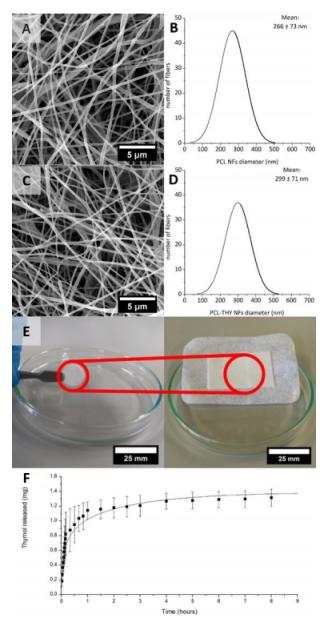 抗菌电纺百里酚负载聚己内酯垫的体内效应研究