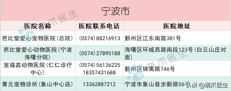 求良心靠谱的宠物医院,真正平民的宠物医院