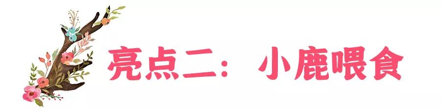 东南花都花博园景观,东南花都花博园