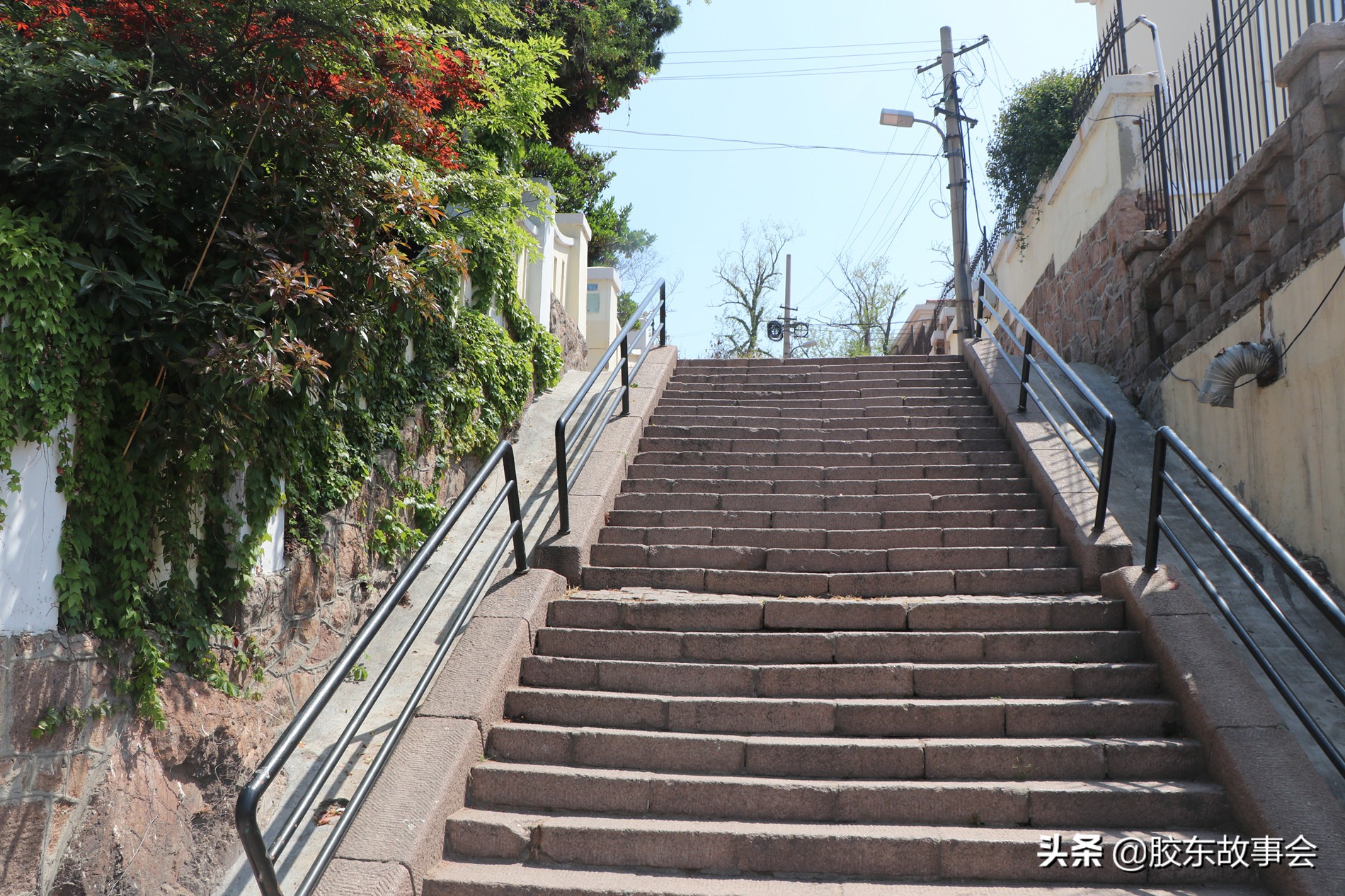青岛的电话号码大全,青岛电话号码几位数