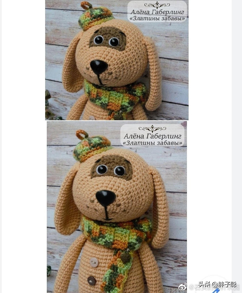 带斑点的狗狗品种,带斑点的狗狗