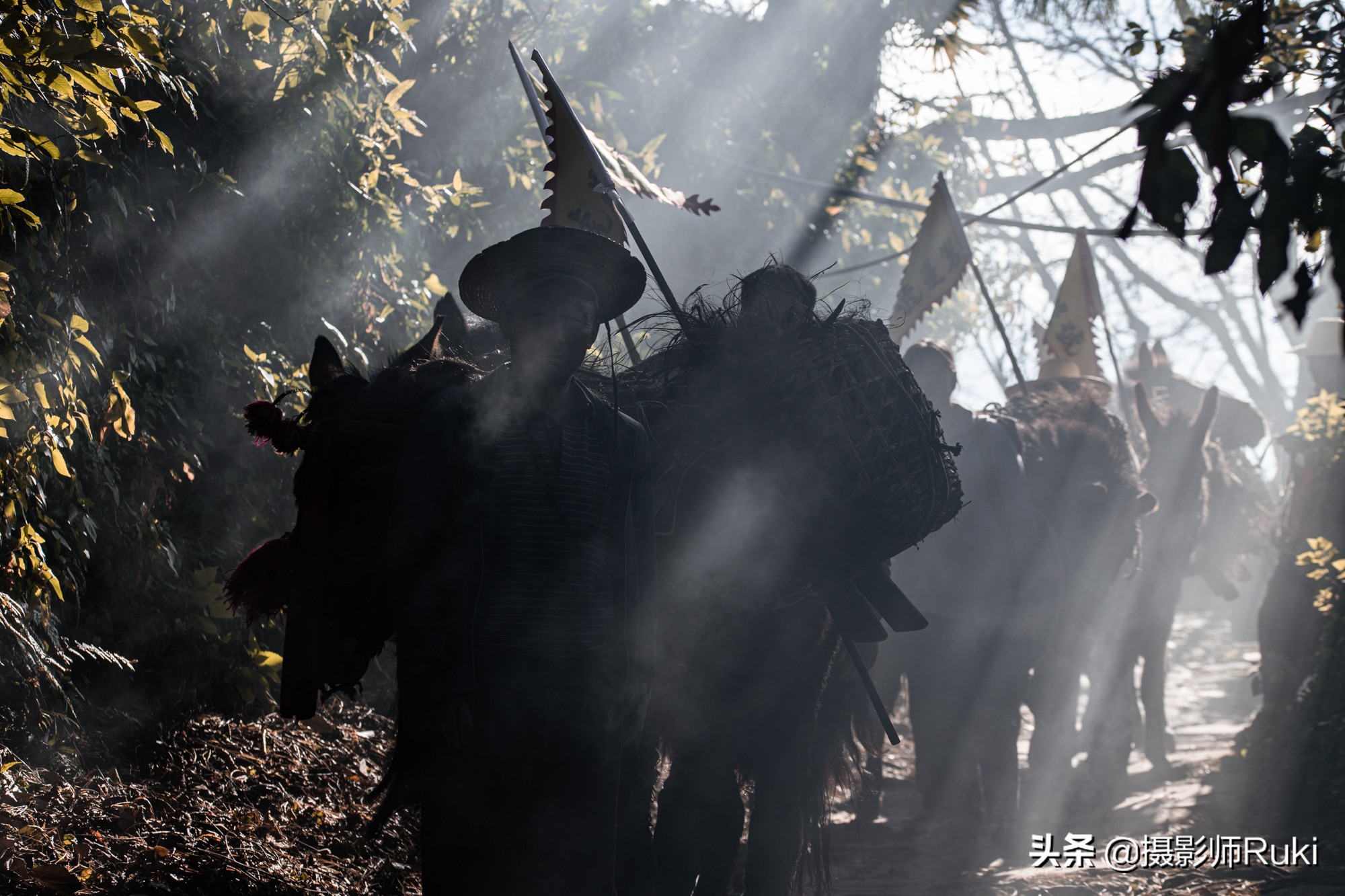 关于摄影的工作有哪些,摄影是一个浪漫的职业