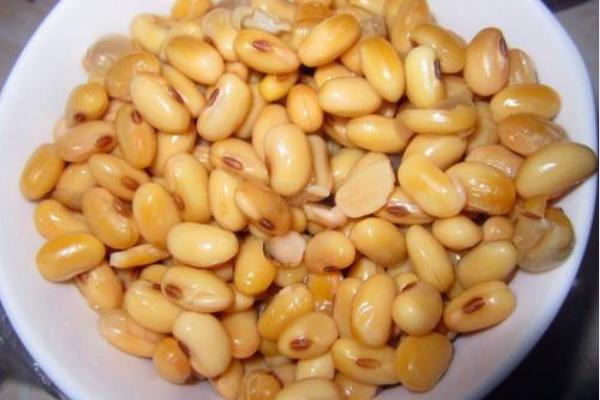 黄豆别打豆浆了新吃法,豆芽干豆腐家常做法大全