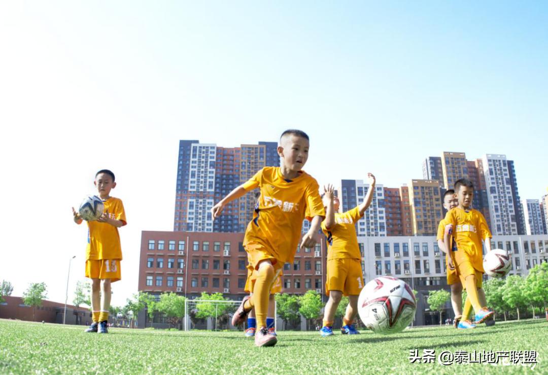 前女足主教练恒大领队,前国家女子足球队队长