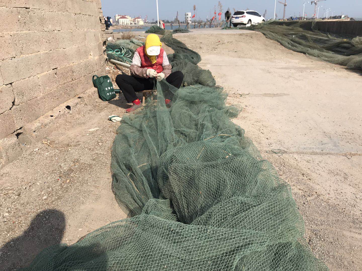 在海边做什么工作赚钱,海边工作也是一种乐趣