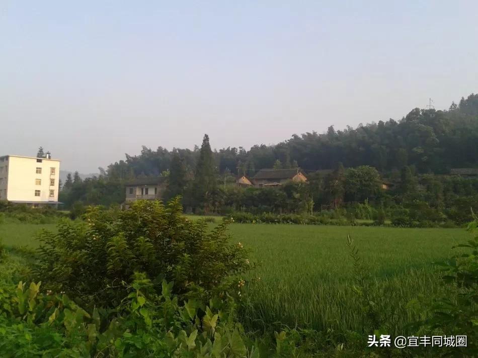 这些失传已久的童谣你还记得吗,这些即将消失的老行当你还记得吗