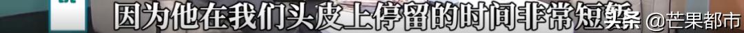 脱发日常简单的治疗方法看过来,14岁头发上面秃了怎么办