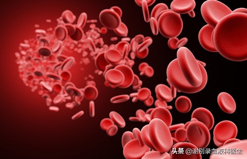 mds转化为白血病后如何化疗,mds转化为白血病的几率