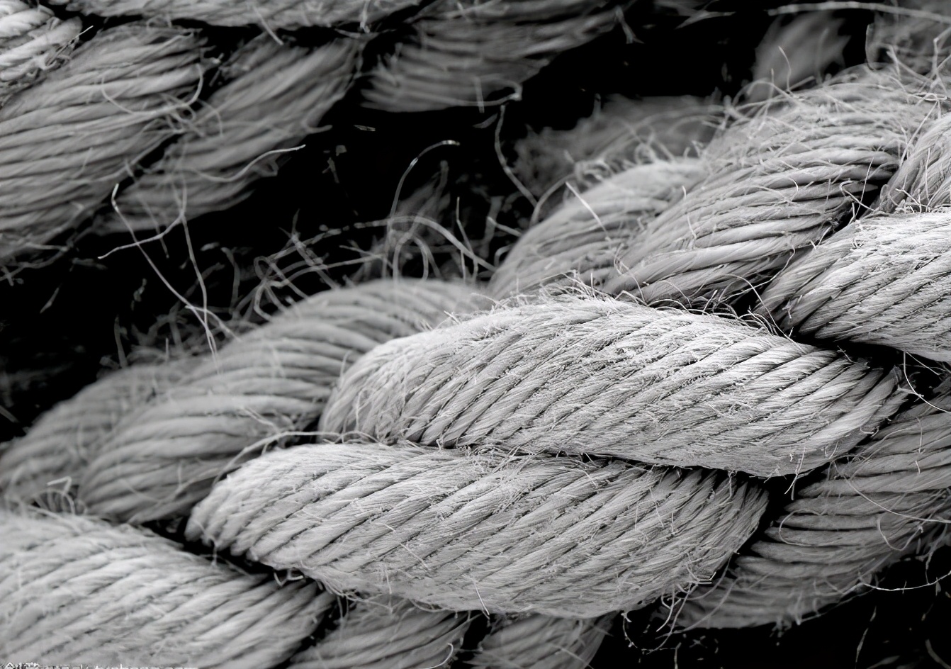 麻纤维的发展史,麻纤维有哪些品种