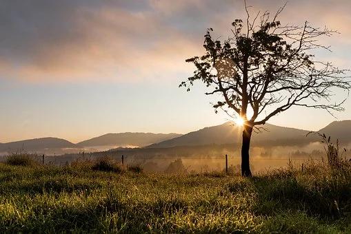 多少命运波澜最后都会尘埃落定,尘埃落定是过往云烟