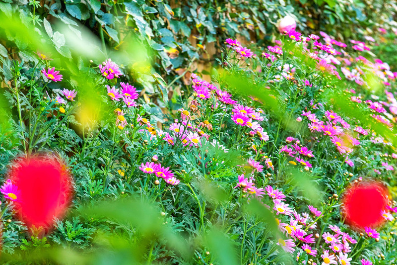 丽江旅游住哪个客栈比较好一点,丽江民宿客栈推荐便宜五天四晚