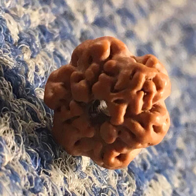 金刚菩提最全纹路解析,大金刚菩提纹路种类图解