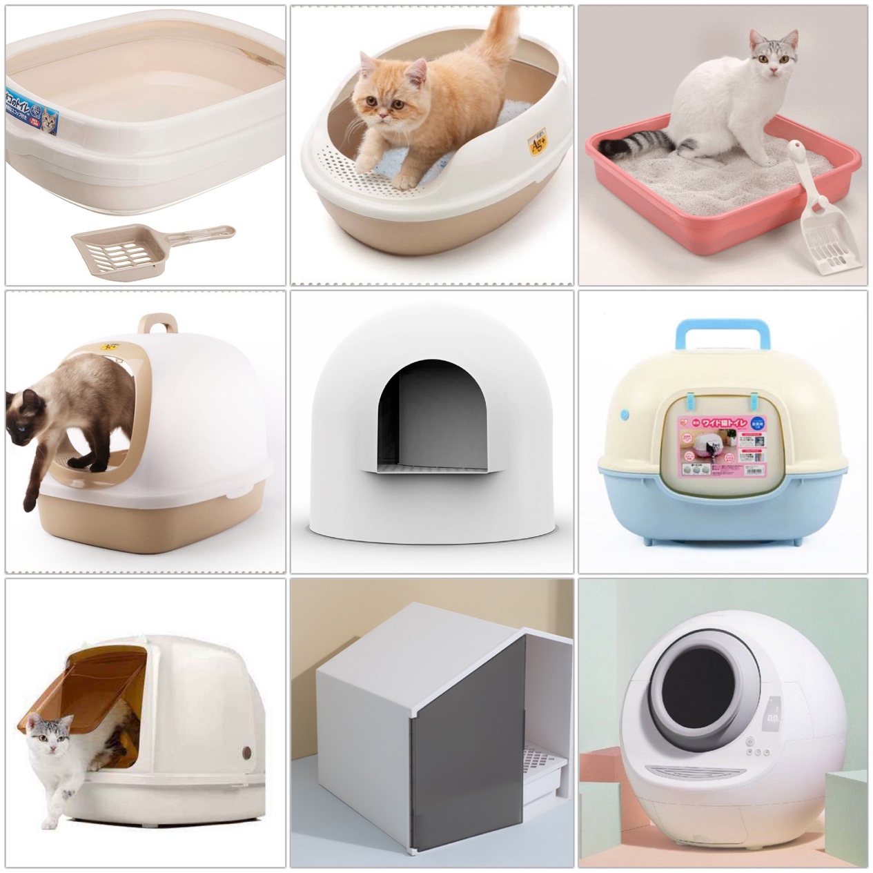 黑色猫配什么样的猫好看,猫选什么样的厕所