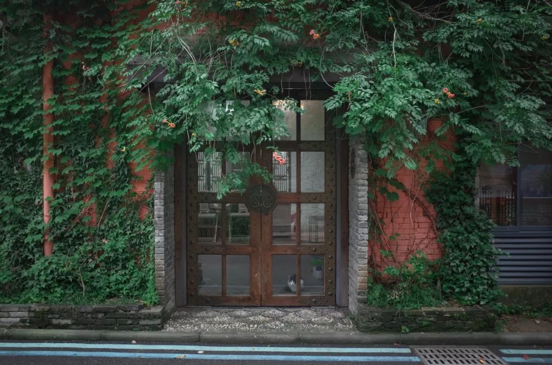 武汉必打卡排行榜,武汉十大打卡地