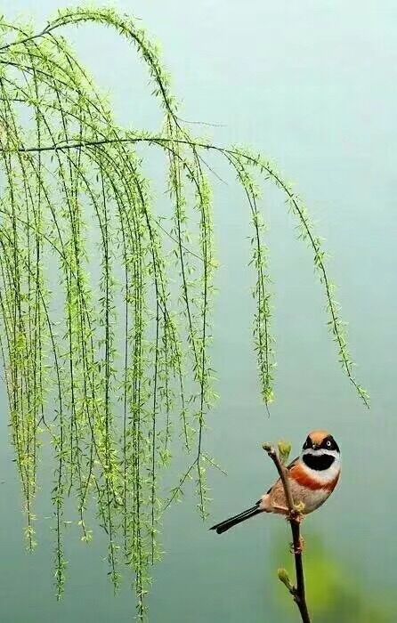 产后如何快速缓解孕期疼痛,产妇如何缓解宫缩疼痛