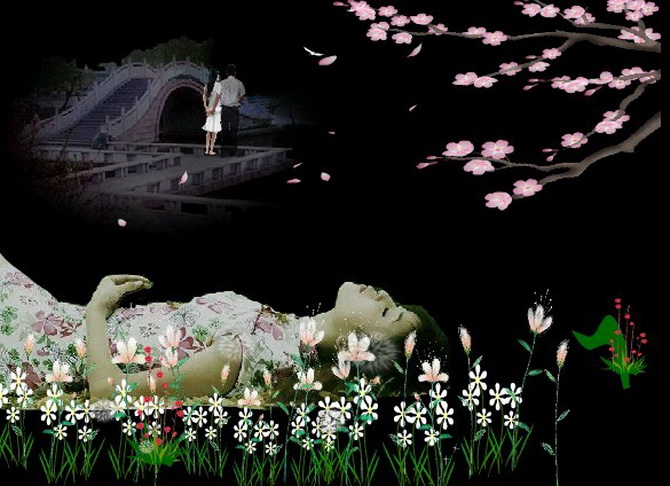 【转载】五十首最凄美的宋词