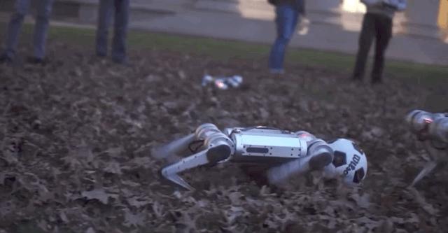 今年最火爆的智能机器狗,最新款智能机器狗推荐