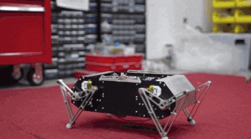 雷军铁蛋视频,雷军小米机器狗