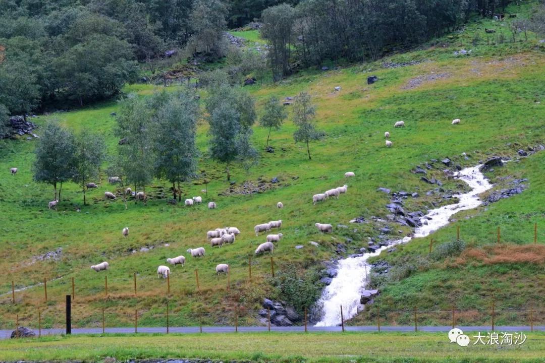 北欧三国游,社会福利最好的十大国家