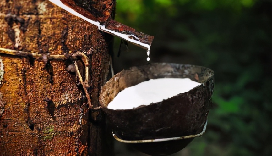 泰国口碑最好的乳胶枕,泰国哪种乳胶枕最舒服