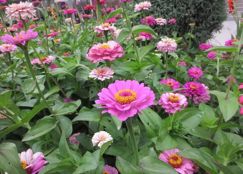 邪性的果报,男人犯了淫恶的果报