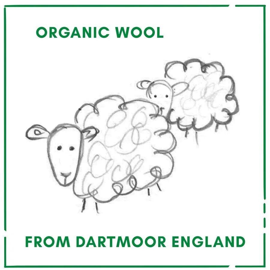 澶忓鐧炬惌鐭璽ee,澶忓蹇呭鐭璽ee