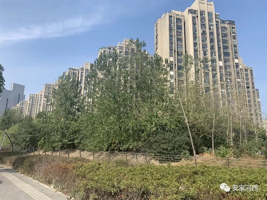 河西新城规划三街,河西新城最新消息