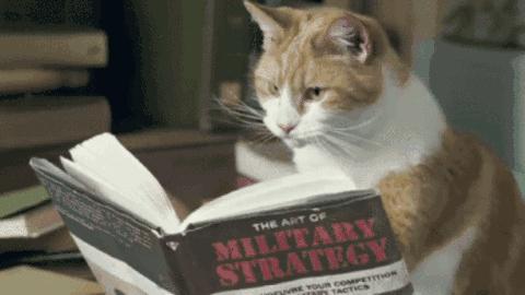 遇到被人打怎么依法维权,被人打一巴掌就罚款500可以复议吗