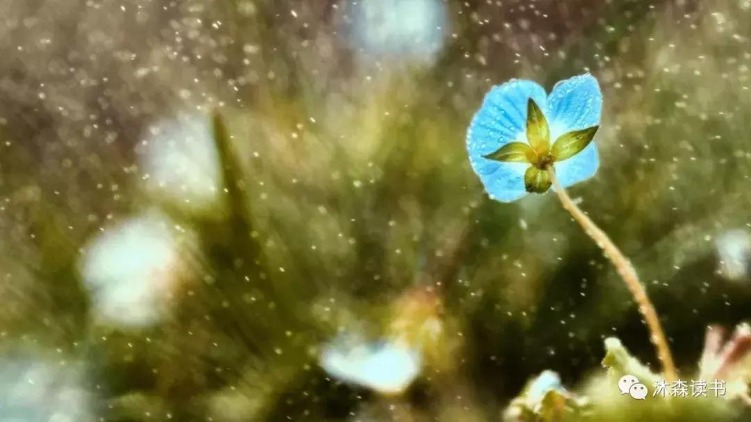 成功靠的不是运气而是因果,成功靠的不是努力