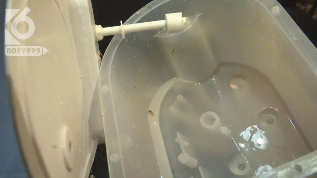 太恶心了！连续一个月，他家饮水机里流出了“小强”