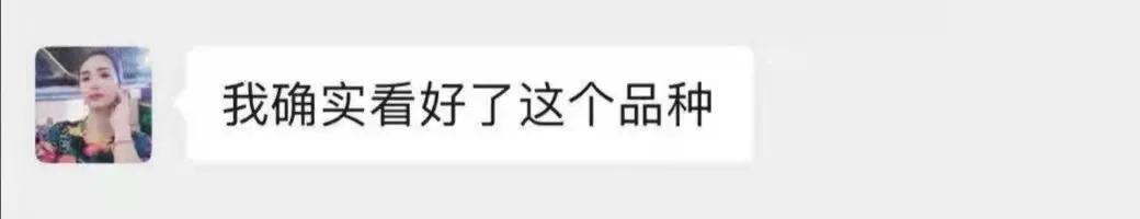 超香甜糯玉米图片,很好吃很糯的玉米