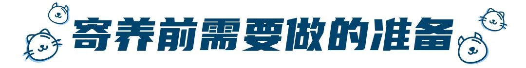 假期要把宠物送去寄养,以下5件事一定要做